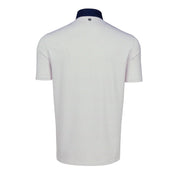 Targhee Polo Arctic Greyson Clothiers Back