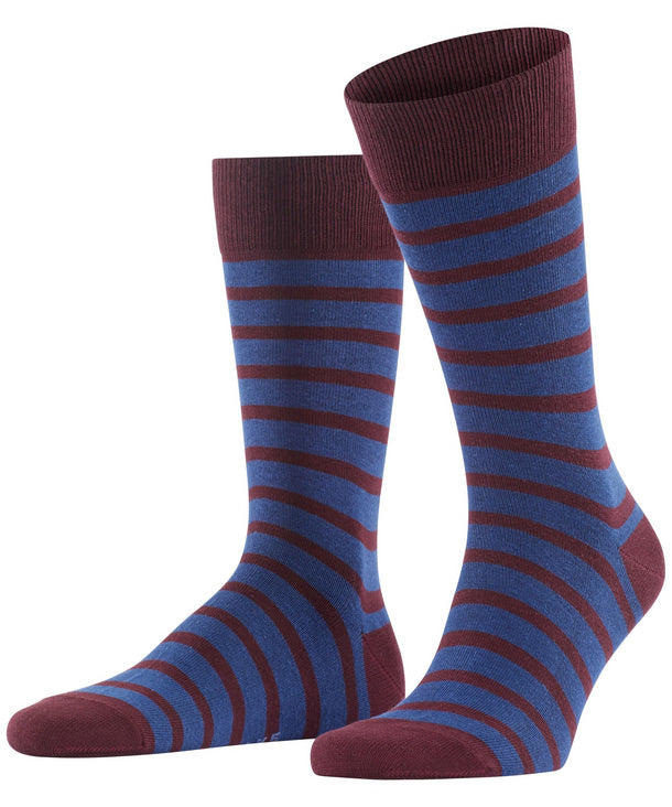 falke blue and maroon striped socks